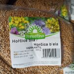 Hořčice bílá